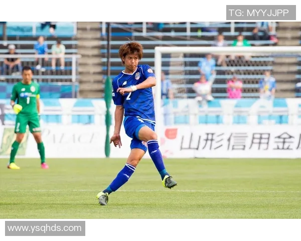 赞岐釜玉海对阵福冈黄蜂精彩直播全程回顾与分析